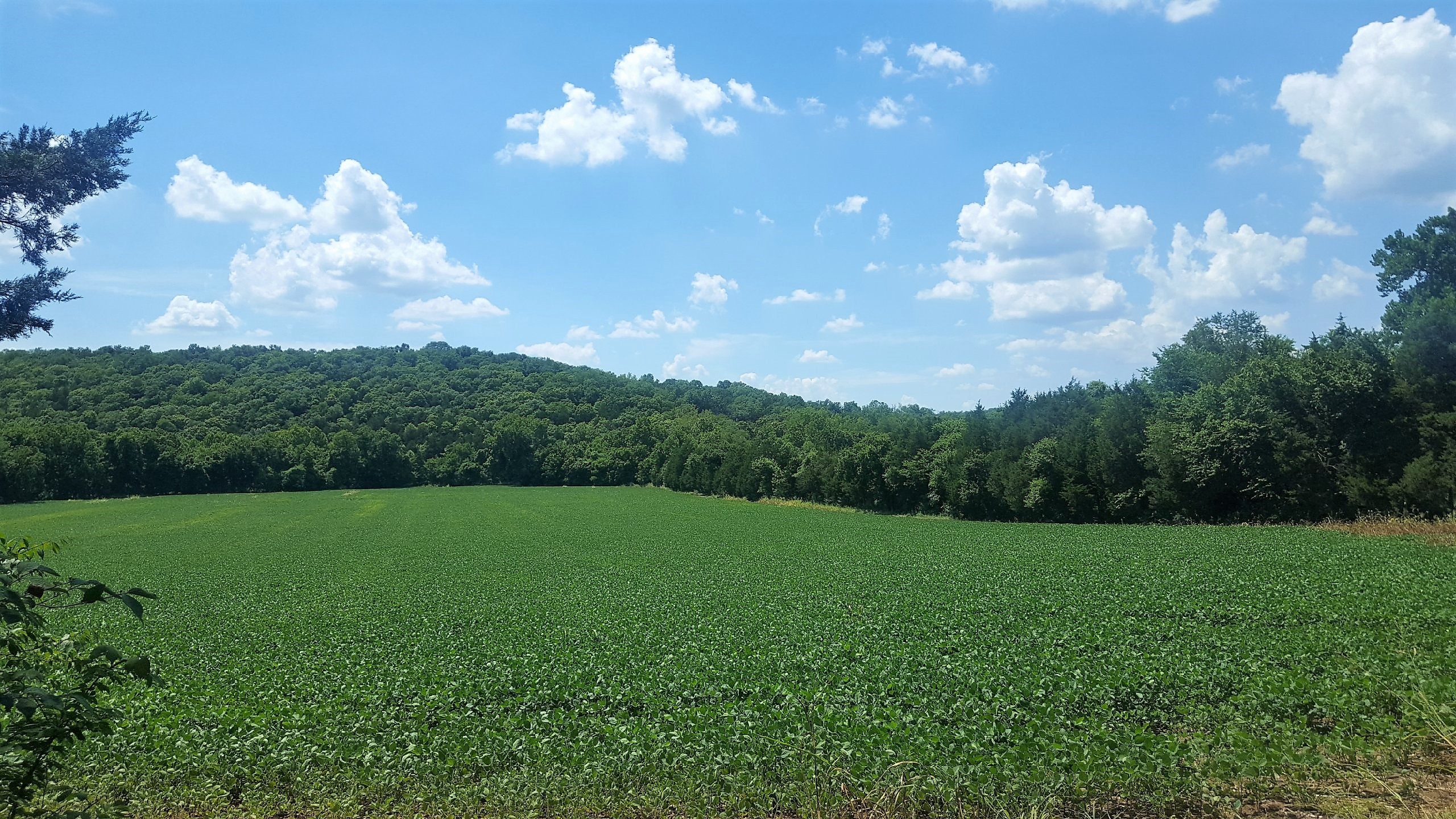Acreage For Sale Catawissa, MO